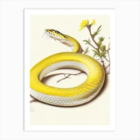 Yellow Rat Snake 1 Vintage Art Print