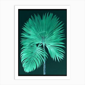 Green Mexican Fan Palm Fronds Art Print Art Print