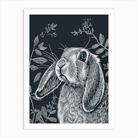 English Lop Rabbit Minimalist Illustration 1 Art Print