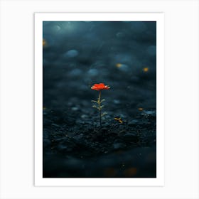 Single Flower In The Dark 112 Art Print