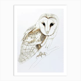 Barn Owl Drawing 4 Art Print