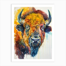 Buffalo Colourful Watercolour 1 Art Print