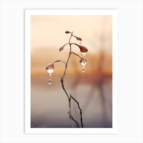 Tiny Drops Art Print