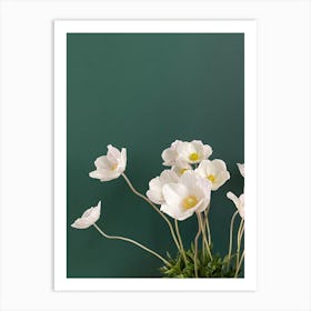 White Anemones In A Vase Art Print