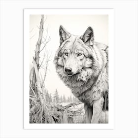 Gray Wolf Drawing 3 Art Print
