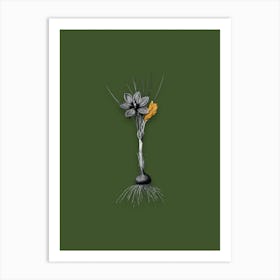 Vintage Crocus Sativus Black and White Gold Leaf Floral Art on Olive Green n.0305 Art Print