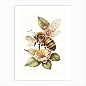 Honeybee And Flower 3 Vintage Art Print