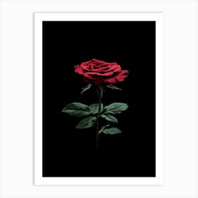 Rose On A Black Background 24 Art Print