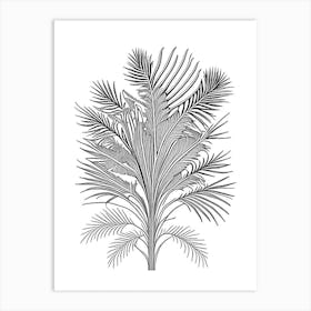 Saw Palmetto Herb William Morris Inspired Line Drawing 3 Art Print