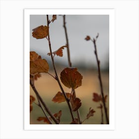 Autumn Leaves Wall Decor Art Print