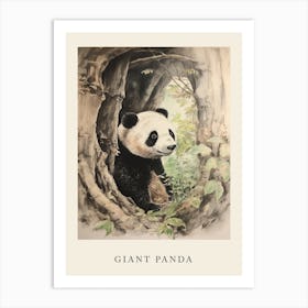 Beatrix Potter Inspired  Animal Watercolour Giant Panda 3 Art Print