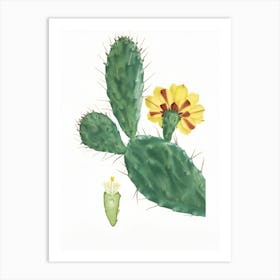 Cactus Flower 9 Art Print