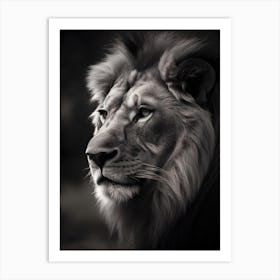 Portrait Of A Lion 1 Art Print