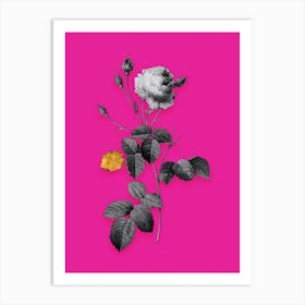 Vintage Provence Rose Black and White Gold Leaf Floral Art on Hot Pink n.0981 Art Print