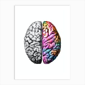 Brain Colorful Black And White 1 Art Print