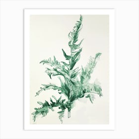 Green Ink Painting Of A Staghorn Fern 1 Art Print