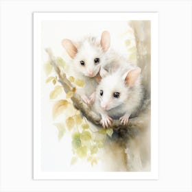 Light Watercolor Painting Of A Baby Possum 4 Art Print