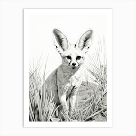 Fennec Fox In A Field Pencil Drawing 2 Art Print