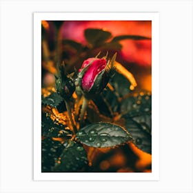 Poster Flower Art Print 22 Art Print