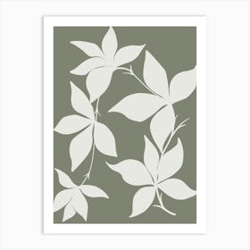 White Ivy Art Print