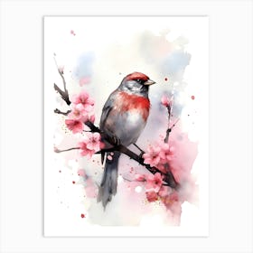 Sparrow bird Art Print