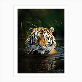 Tiger In Water Art Print