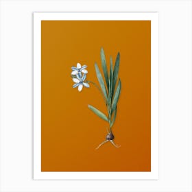 Vintage Gladiolus Plicatus Botanical on Sunset Orange n.0268 Art Print