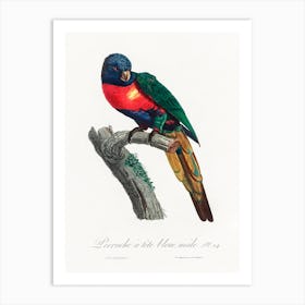 The Plum Headed Parakeet, Male From Natural History Of Parrots, Francois Levaillant 1 Art Print
