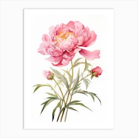 Peony Wildflower At Dawn In Watercolor (1) Art Print