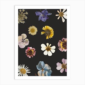 Flowers On A Black Background 9 Art Print