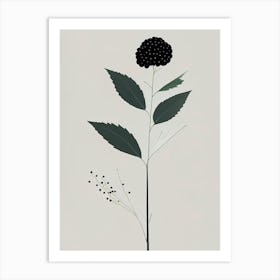 Elderberry Herb Simplicity Art Print