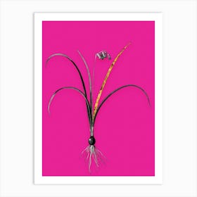 Vintage Brimeura Black and White Gold Leaf Floral Art on Hot Pink n.0024 Art Print