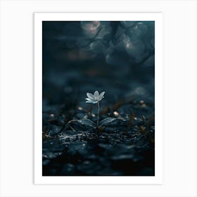 Flower In The Dark 83 Art Print