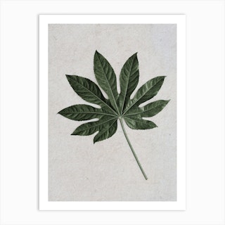 Tropical Aralia Leaf Art Print