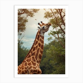 Giraffe In The Forest 1 Art Print