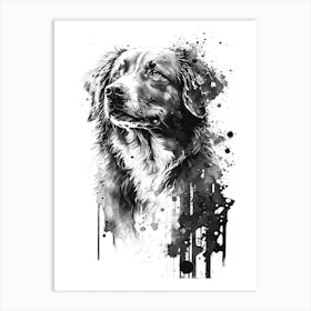 Cute Nova Scotia Ducktolling Retriever Black Ink Portrait Art Print