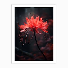 Red Flower Art Print