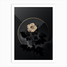 Shadowy Vintage Leschenault's Rose Botanical in Black and Gold n.0152 Art Print