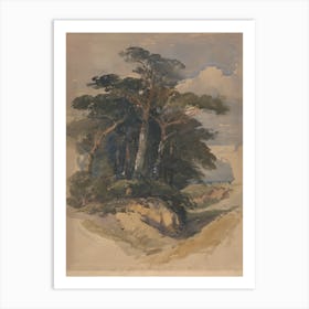 Pines On Hampstead Heath, James Heath Art Print