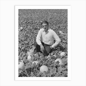 Ernest W Kirk Jr,Fsa (Farm Security Administration) Client, Amidst The Honeydew Melons Which He Is Raising Art Print