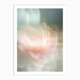 Flower Photography Abstract 01 Art Print