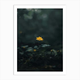 Single Yellow Flower In The Forest Art Print