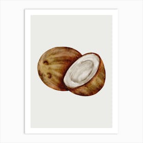 Coconuts Art Print