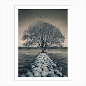 Lone Tree 1 Art Print