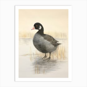 Vintage Bird Drawing Coot 3 Art Print