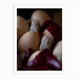 Eggs In A Carton 23 Art Print