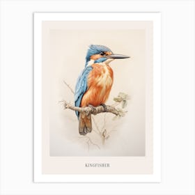 Vintage Bird Drawing Kingfisher 1 Poster Art Print