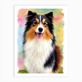 Shetland Sheepdog 3 Watercolour Dog Art Print