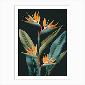 Bird Of Paradise 20 Art Print