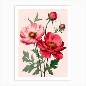 Cosmos Flowers 4 Art Print